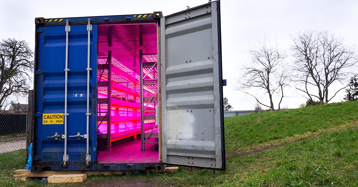 Shipping Container Growing Facility